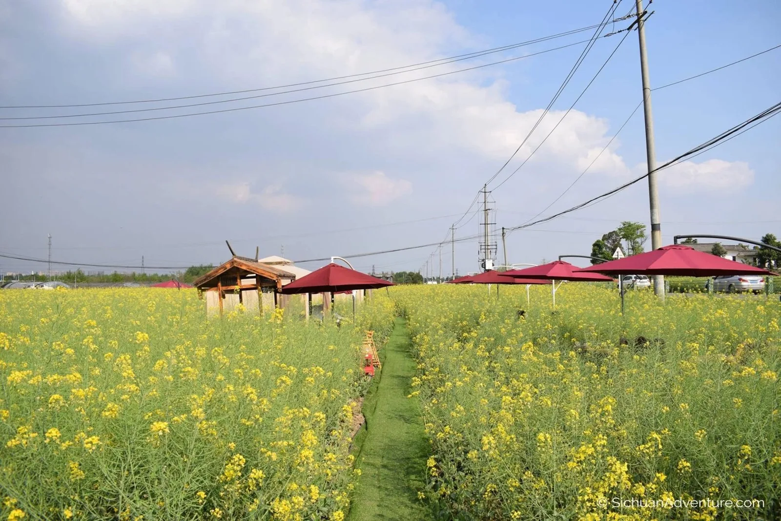 China Adventure Club travel experience