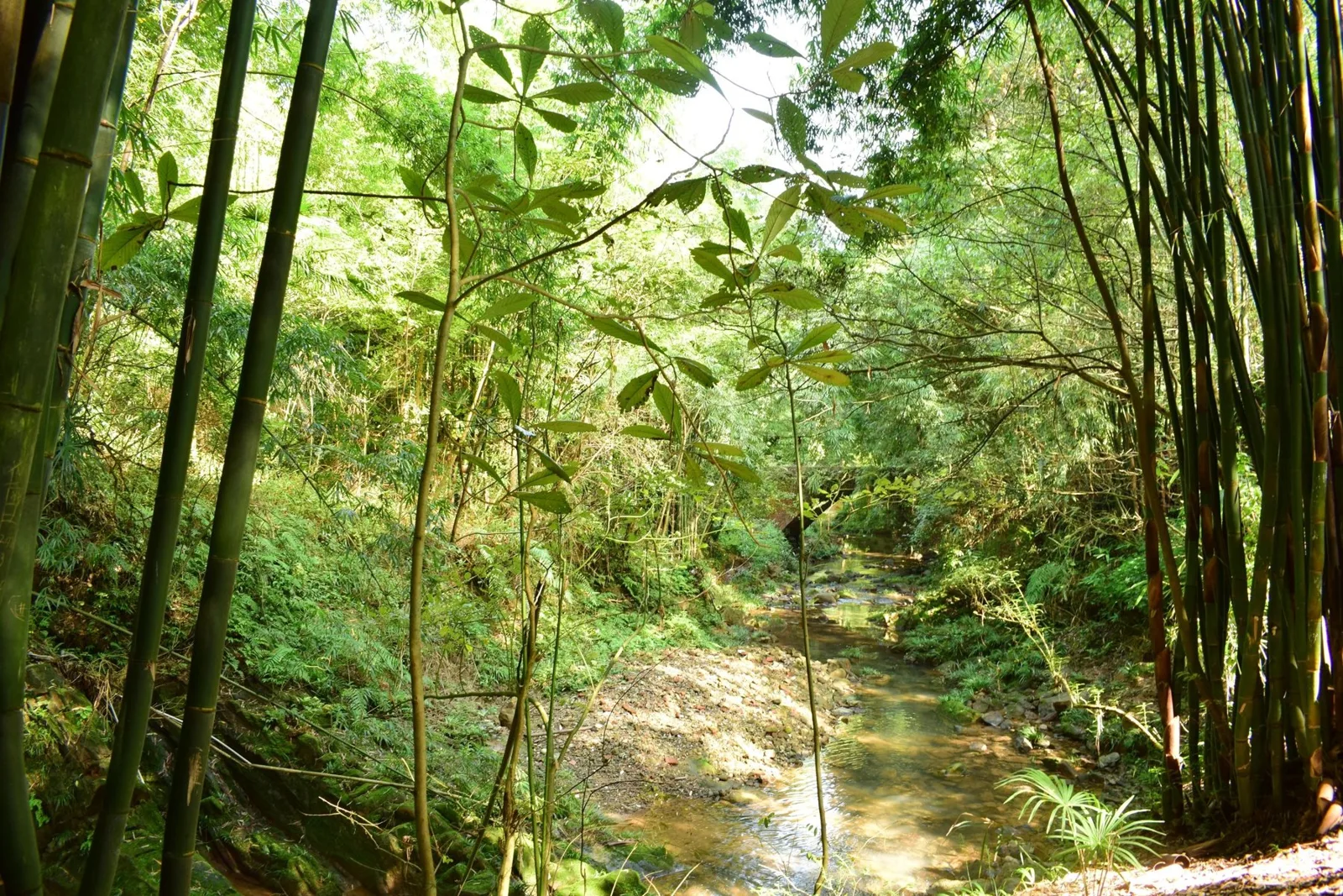 China Adventure Club travel experience