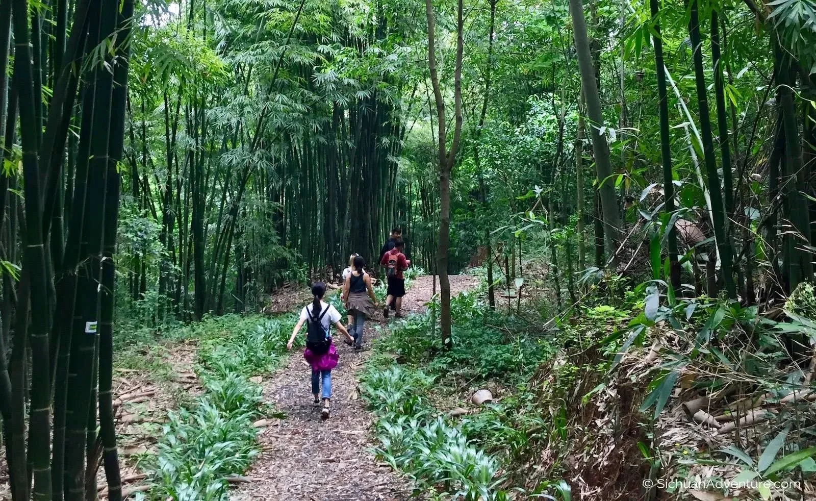 China Adventure Club travel experience