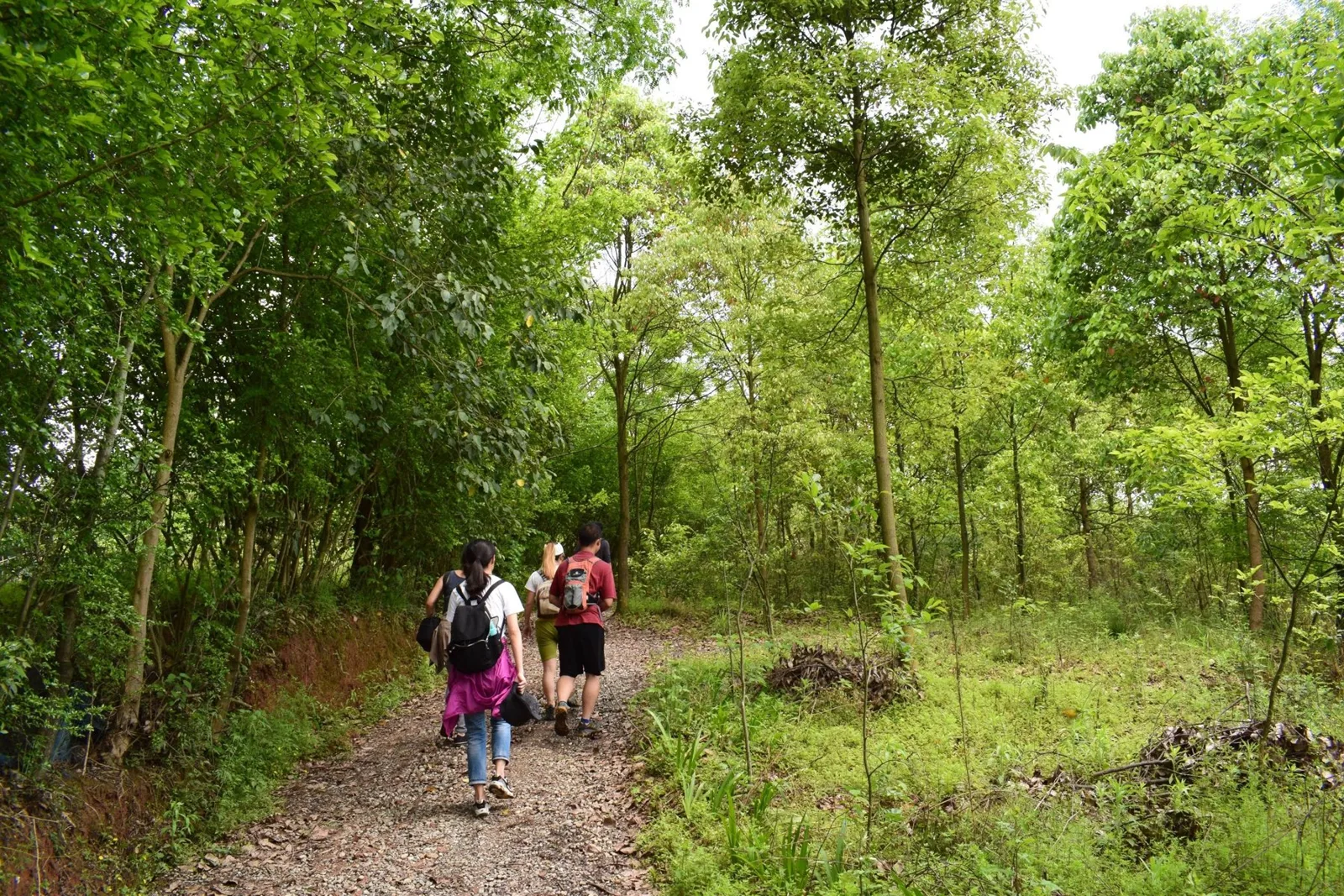 China Adventure Club travel experience