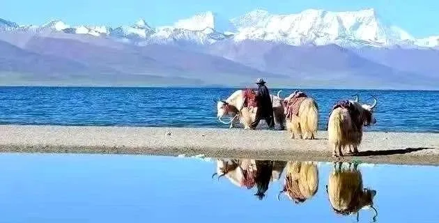 China Adventure Club travel experience
