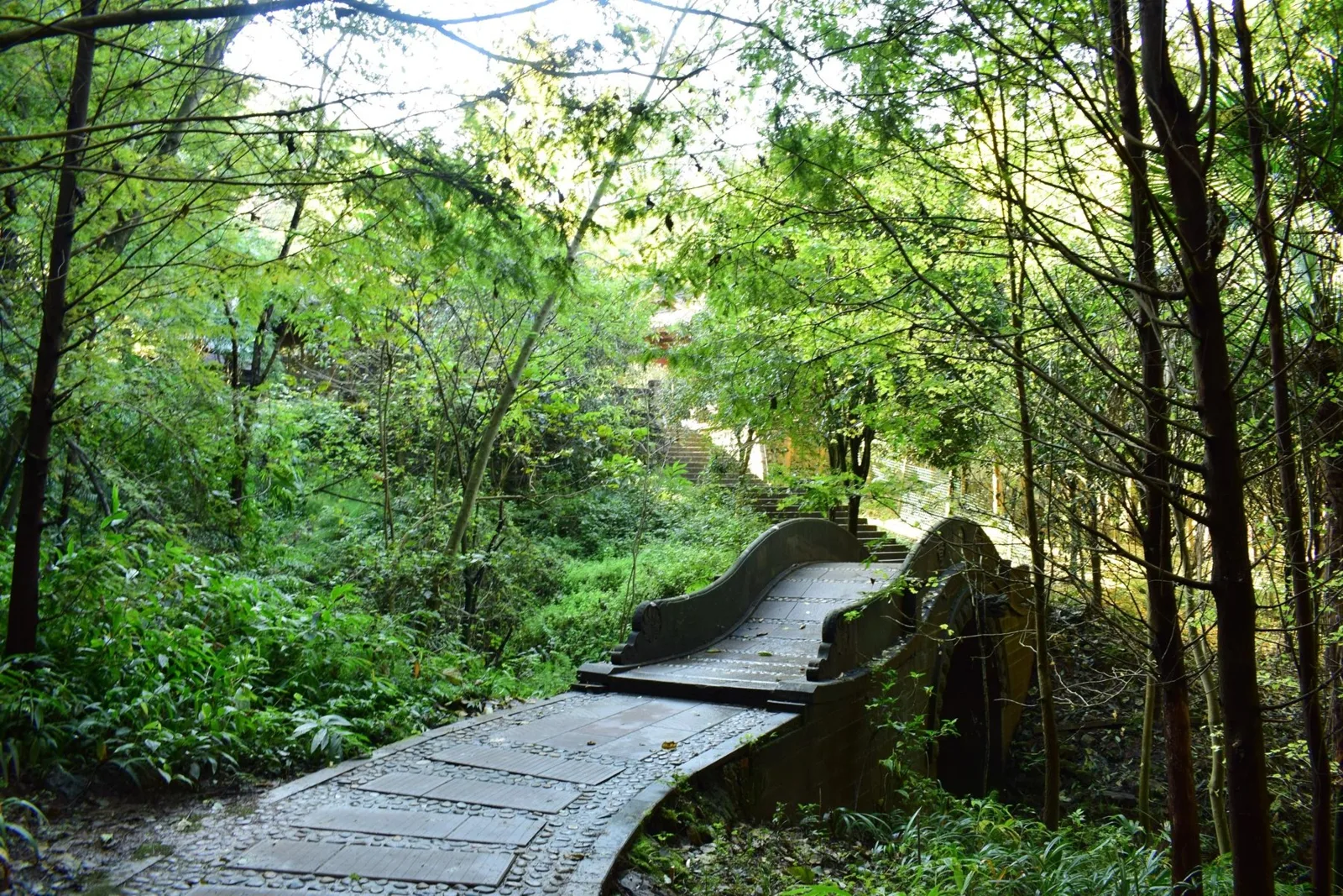 China Adventure Club travel experience