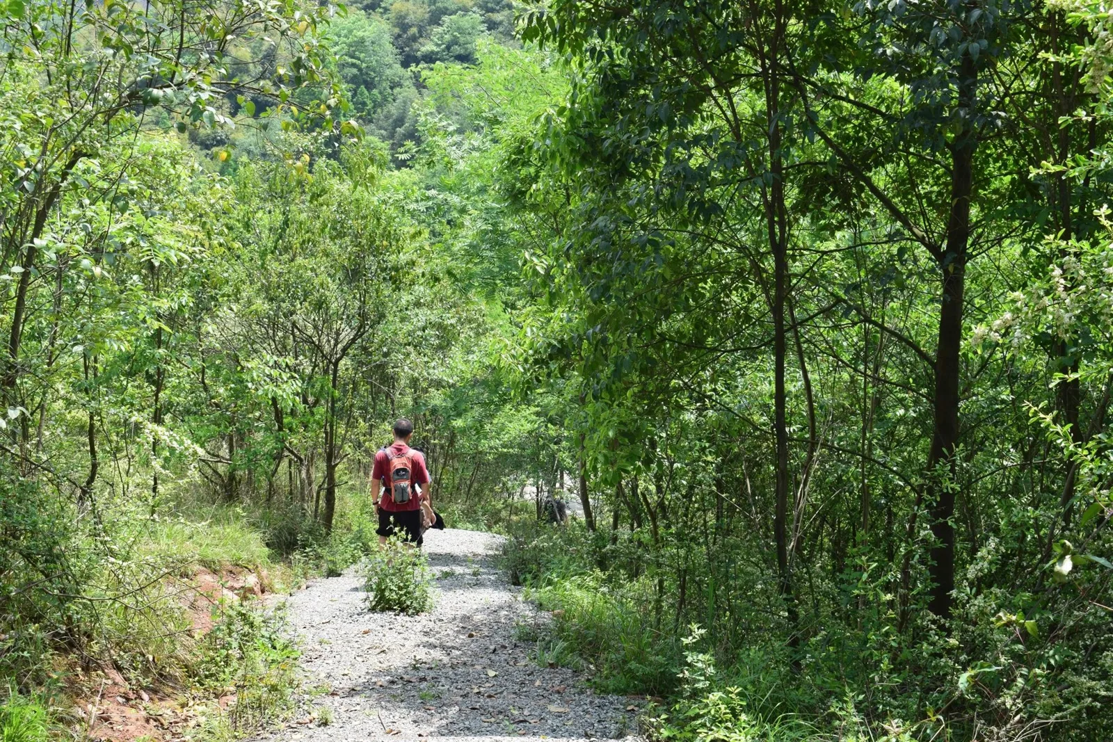 China Adventure Club travel experience