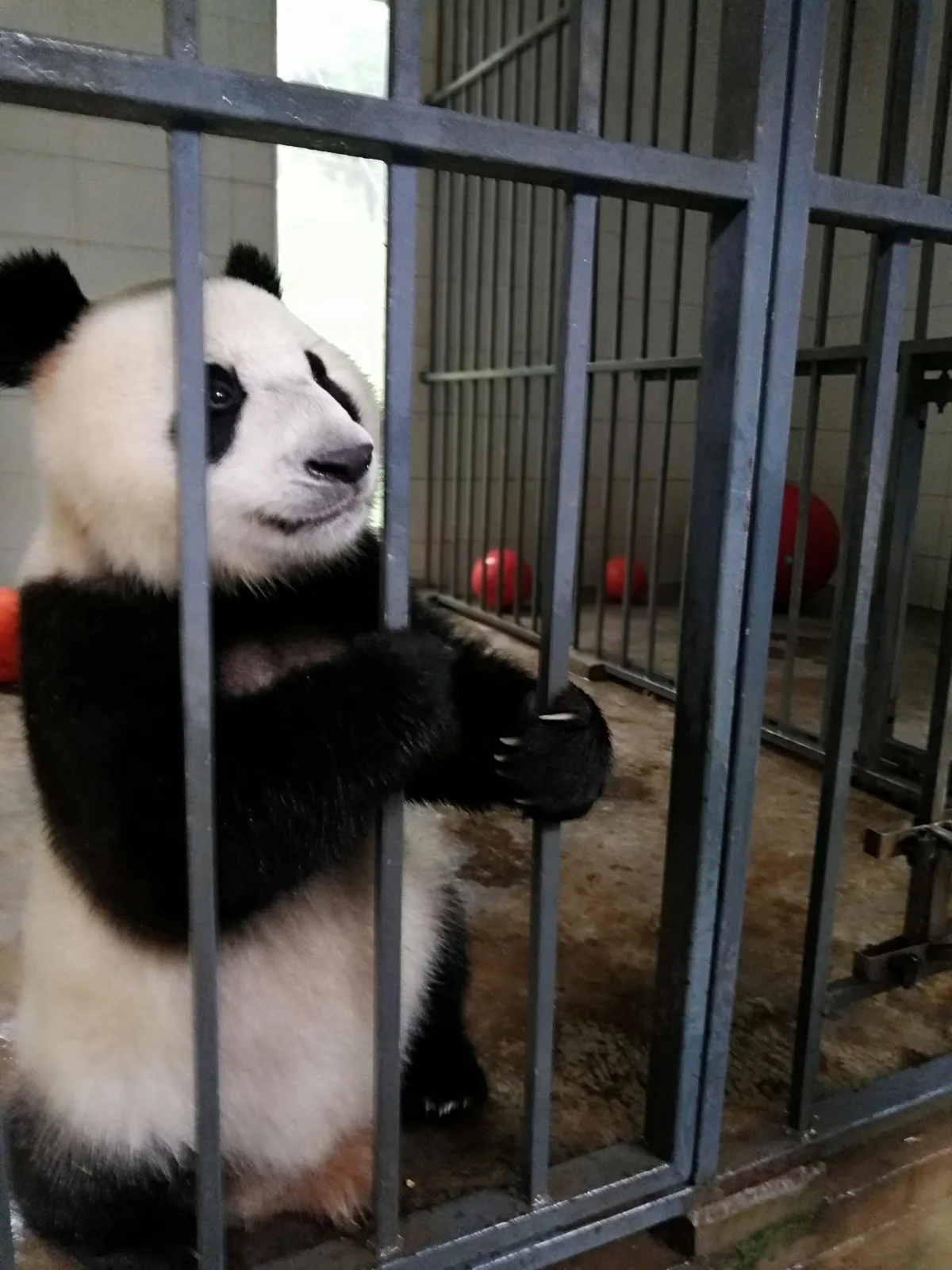 China Adventure Club travel experience