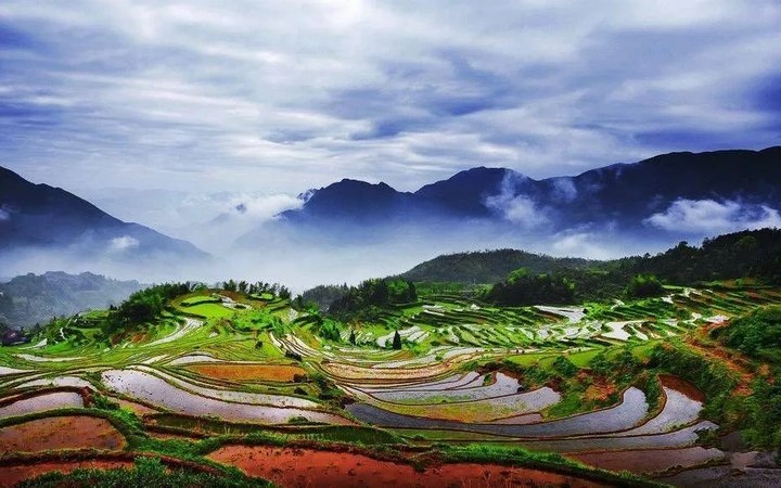 Yunhe Winding Rice Terrace