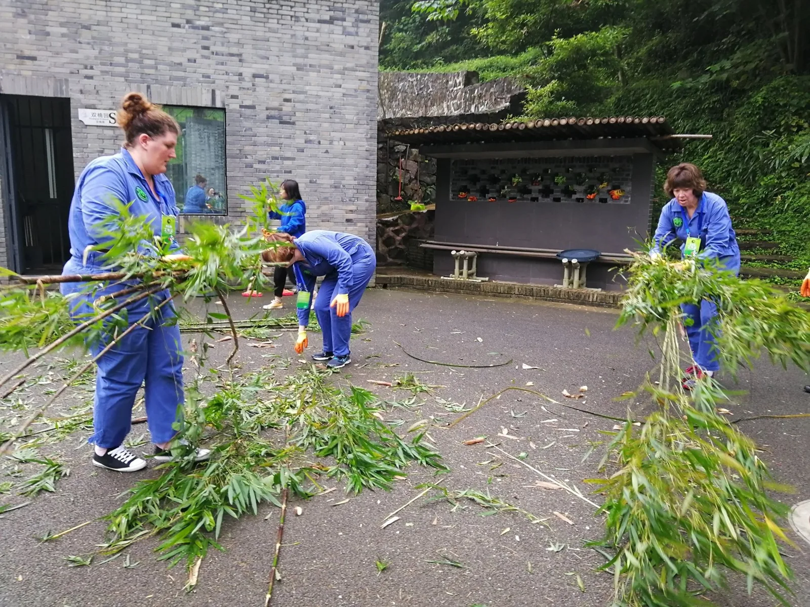 China Adventure Club travel experience