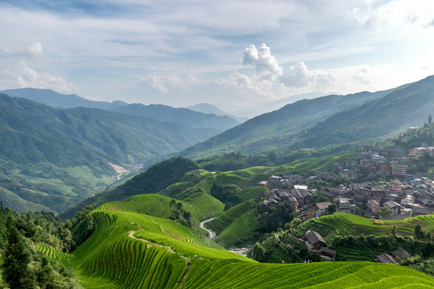 Green rice terraces in southern China