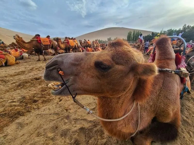 China Adventure Club journey